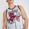 Mitchell & Ness Swingman Raptors Carter -Adidas 317138449110 04