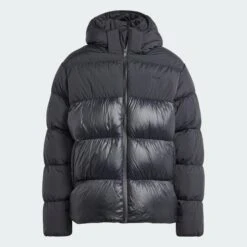 Adidas Adicolor Down Regen Hooded Puffer